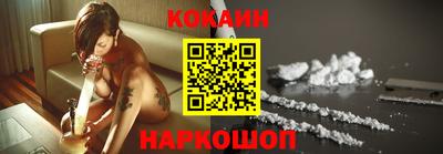 индика Кингисепп
