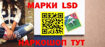 индика Кингисепп