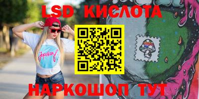индика Кингисепп