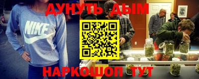 индика Кингисепп