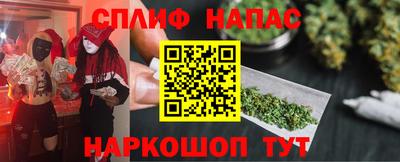 индика Кингисепп