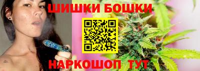 индика Кингисепп
