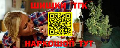 индика Кингисепп