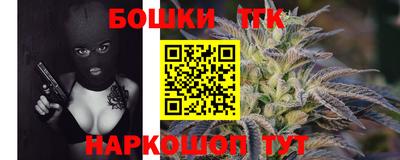 индика Кингисепп