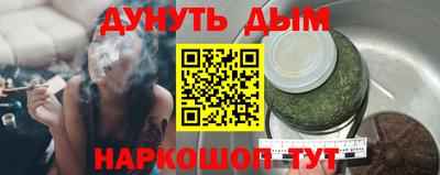 индика Кингисепп