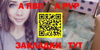 индика Кингисепп