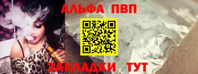 индика Кингисепп