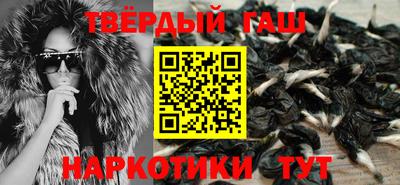 индика Кингисепп