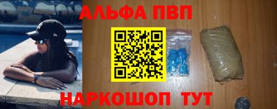 индика Кингисепп
