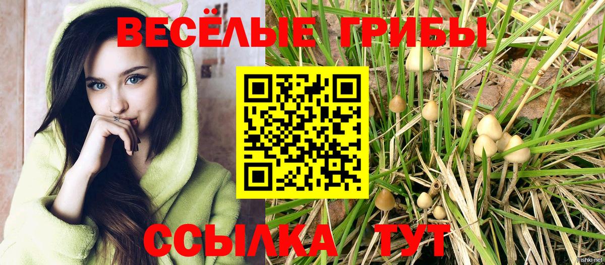Волоколамск  Галлюциногенные грибы Magic Shrooms  Галлюциногенные грибы Psilocybine cubensis  Вход с VPN 