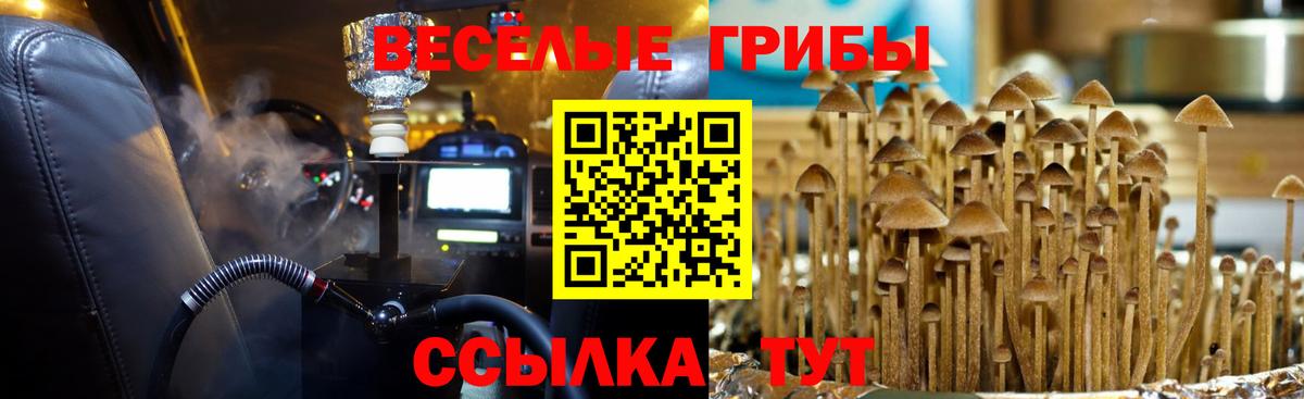 Галлюциногенные грибы мицелий Волоколамск